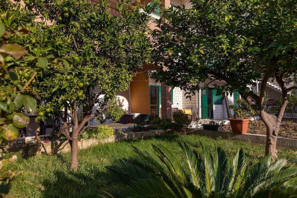 פודסטראנה Apartmani Sanja Suta מראה חיצוני תמונה